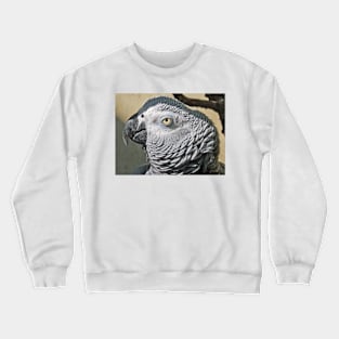 Looking at you Crewneck Sweatshirt